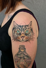 双大臂纹身 女生大臂上飞碟和猫咪纹身图片