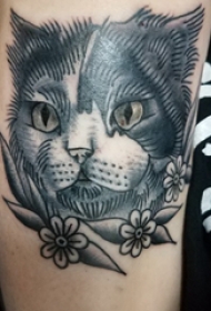 小清新猫咪纹身 男生手臂上小猫咪纹身图片