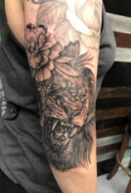 唐狮子纹身 男生手臂上唐狮子纹身图案
