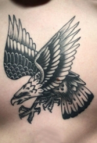 老鹰纹身图案 男生背部老鹰纹身图案