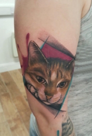 大臂纹身图 女生大臂上几何和猫咪纹身图片