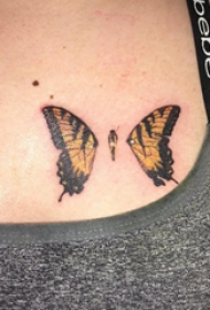 后背纹身女 女生后背上彩色的蝴蝶纹身图片