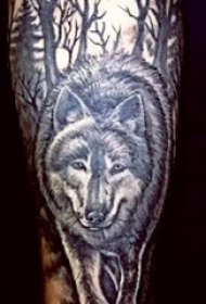 狼头纹身 男生手臂上狼头纹身图片