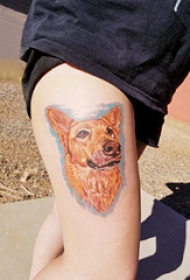 百乐动物纹身 女生大腿上彩色的小狗纹身图片