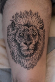 狮子头纹身图片 男生大腿上狮子头纹身图片