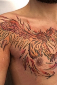 老鹰纹身  男生胸前彩色的老鹰纹身图片