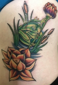 青蛙纹身 女生侧腰彩色的青蛙和莲花纹身图片