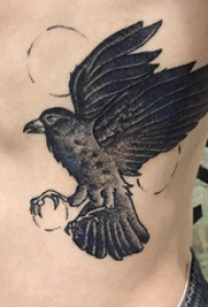 老鹰纹身图案 男生侧肋上老鹰纹身图案