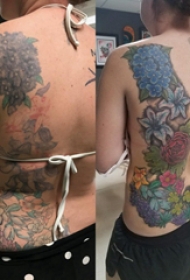 纹身覆盖 女生后背上彩色纹身花朵纹身图片