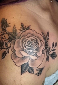 双大臂纹身 女生大臂上黑色的玫瑰纹身图片