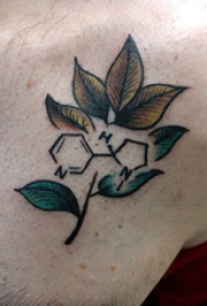欧美系纹身 男生小腿上化学符号和树叶纹身图片