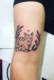 小动物纹身 女生手臂上植物和猫咪纹身图片