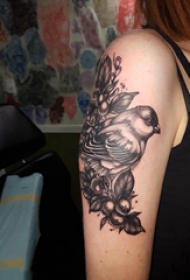纹身鸟 男生手臂上小鸟纹身图片
