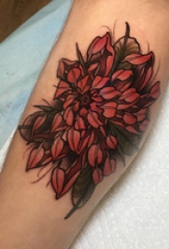 中国风花卉纹身 男生手臂上彩色的花朵纹身图片