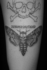 骷髅和蝴蝶纹身图案  女生腿上骷髅和蝴蝶纹身图片