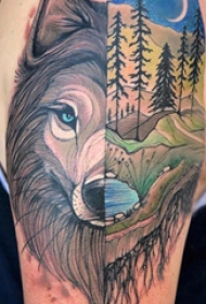 狼纹身 男生手臂上狼纹身图片