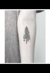 松树纹身  女生手臂上黑色的松树纹身图片