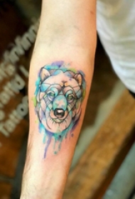 小动物纹身 男生手臂上彩色的小动物纹身图片