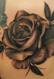 玫瑰纹身图 女生肩上彩绘玫瑰和蝴蝶纹身图片