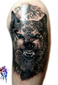 滴血狼头纹身 男生大臂上彩色的狼头纹身图片