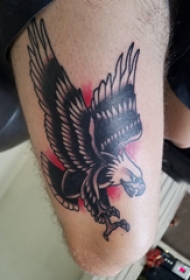 纹身老鹰图片  男生手臂上彩色的老鹰纹身图片