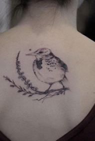 纹身鸟  女生后背上鸟和植物纹身图片