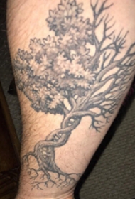 纹身树枝  男生手臂上黑灰的树纹身图片