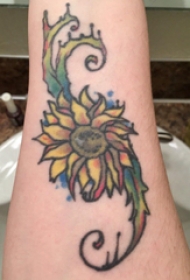 纹身图案花朵 男生手臂上彩色的植物纹身图片