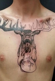 麋鹿纹身图案男  男生胸上黑灰的麋鹿纹身图片