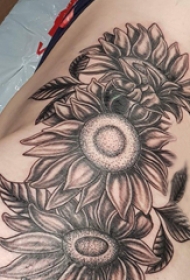向日葵纹身图片 女生侧腰上黑色的向日葵纹身图片