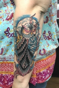 纹身猫头鹰  女生手臂上彩绘的猫头鹰纹身图片