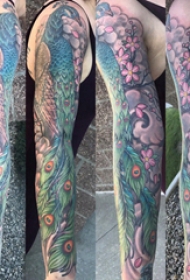 孔雀毛纹身  男生手臂上彩绘的孔雀毛纹身图片