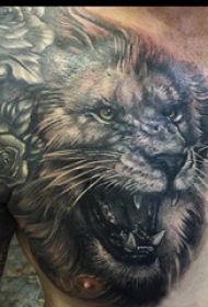 狮子王纹身  男生胸上素描的狮子纹身图片