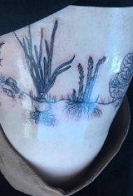 植物纹身  女生大腿上黑灰的植物纹身图片