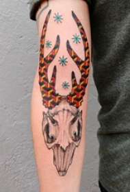 羊头骨纹身 男生手臂上彩色的羊头骨纹身图片