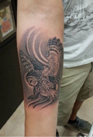 猫头鹰纹身图 男生手臂上灰色的猫头鹰纹身图片