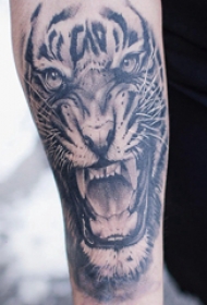 小动物纹身 男生手臂上黑色的老虎纹身图片