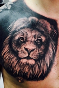 纹身胸部男 男生胸部黑色霸气的狮子纹身图片