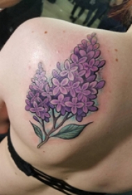植物纹身 女生后背上彩色的植物纹身图片