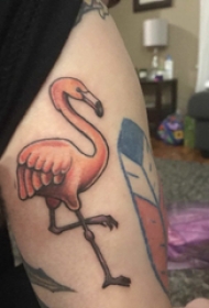 百乐动物纹身 女生大腿上彩色的火烈鸟纹身图片