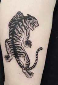 纹身老虎 男生大臂上黑色的老虎纹身图片