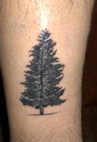 生命树纹身素材 男生小腿上黑色的松树纹身图片