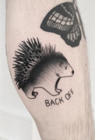 刺猬纹身图案 男生小腿上英文和刺猬纹身图片
