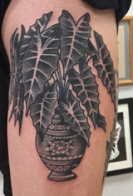 植物纹身  女生大腿上素描的植物纹身图片