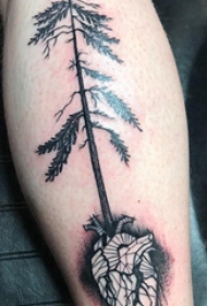 松树纹身 男生小腿上松树和心脏纹身图片