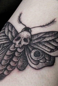 纹身手臂内侧女  女生手臂上骷髅和飞蛾纹身图片