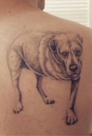 小狗纹身图片  男生后背上黑灰的小狗纹身图片