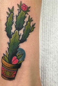 植物纹身 多款彩绘纹身素描植物纹身图案