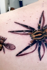 蜘蛛纹身 男生肩部蜜蜂和蜘蛛纹身图片