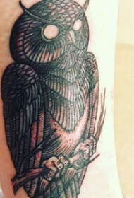 纹身猫头鹰  女生小臂上黑色的猫头鹰纹身图片